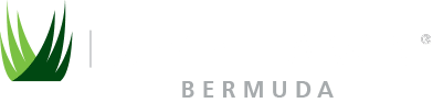 SYNLawn Bermuda Logo